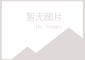 博山区夏岚采矿有限公司